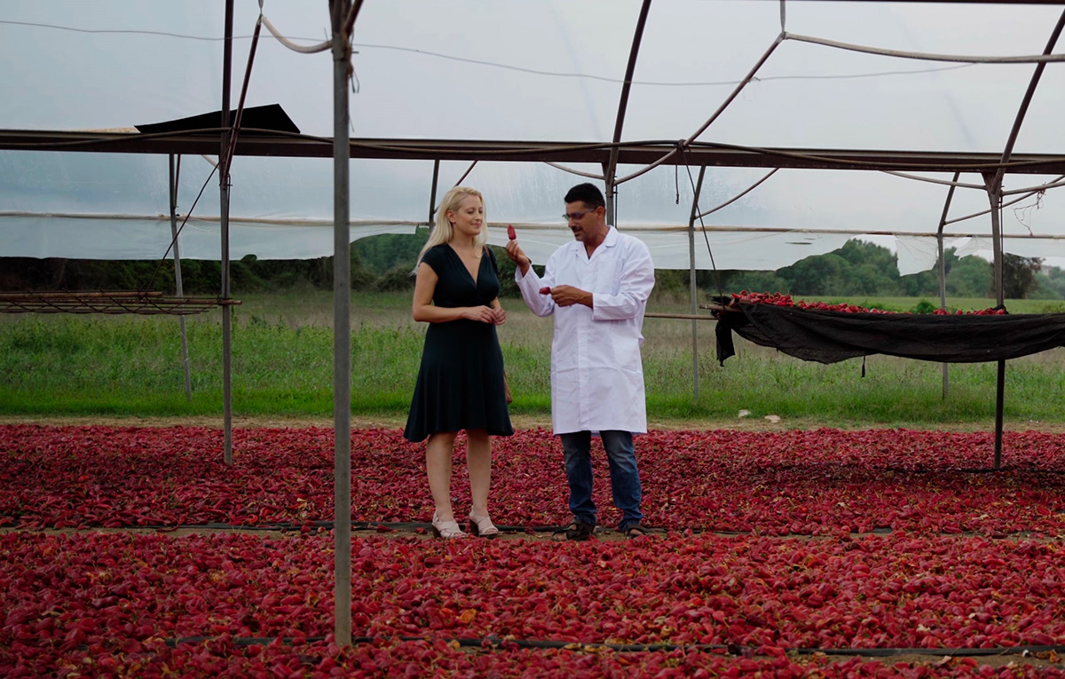 Spicy Calabria - RS Productions