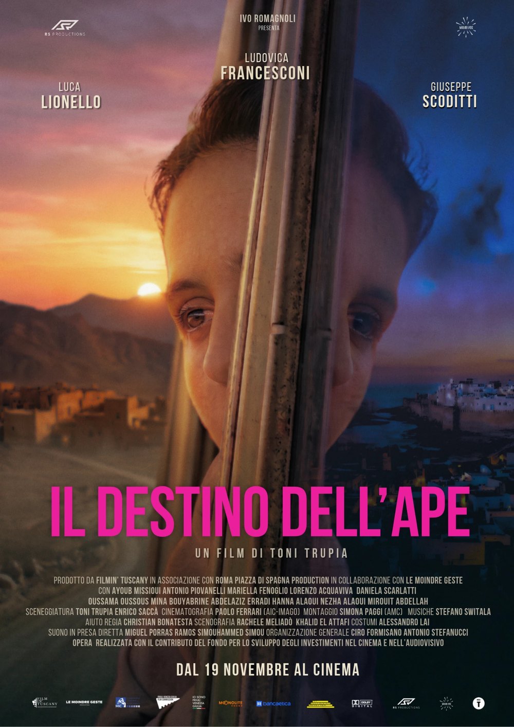 Il destino dell’ape
